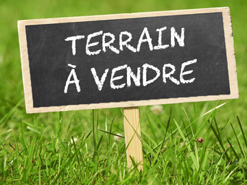 Ref. 15620